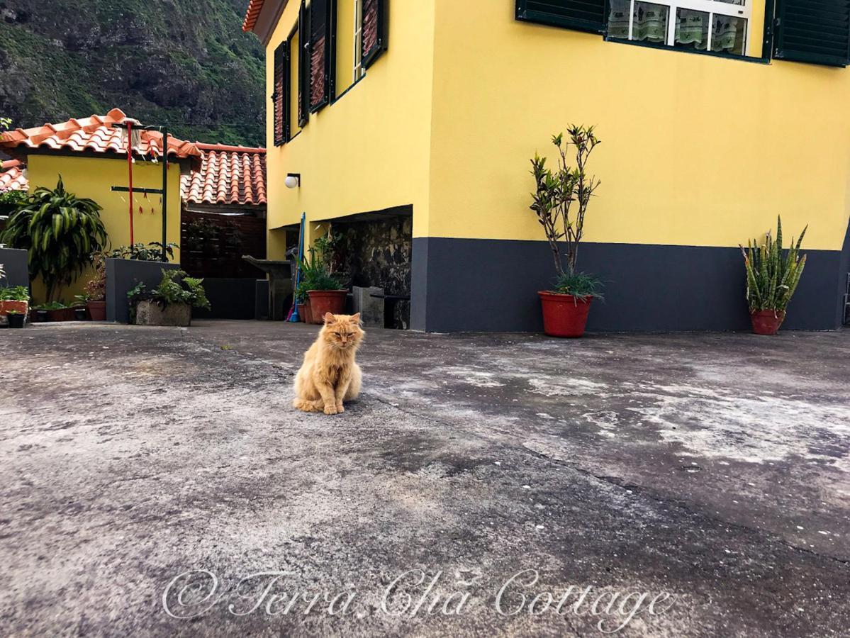 Terra Cha Cottage,Feel Home, Sao Vicente  Exterior photo